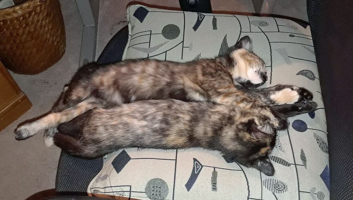 Lori & Harley