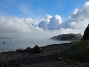 Glacier Bay