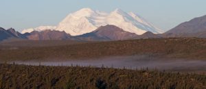 Kantishna Experience Tour