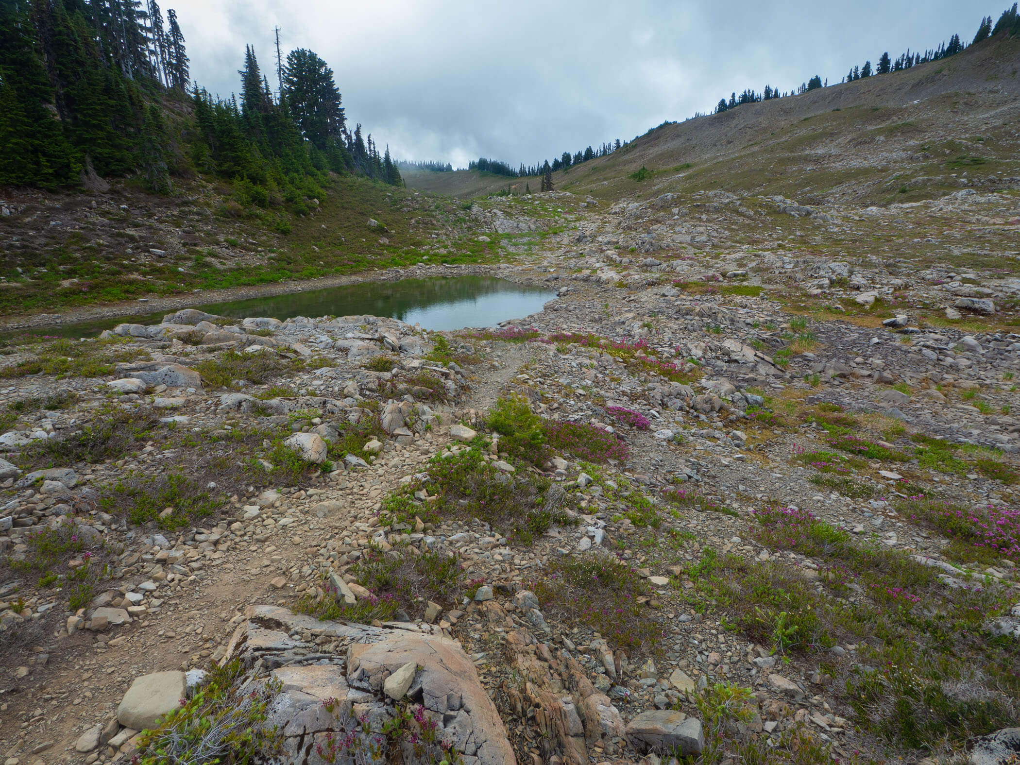 Olympics Backpacking – Day 3