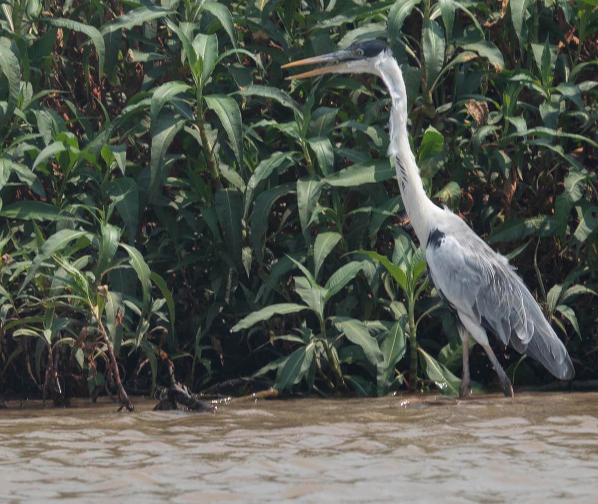 On the River – Day 2