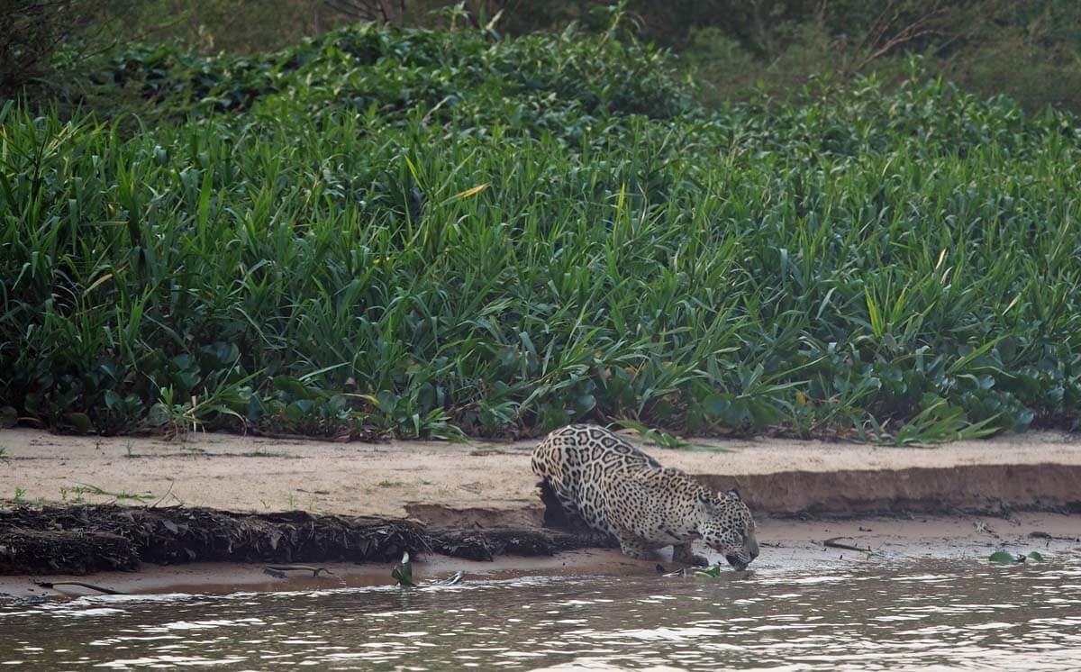 On the River – Day 2 continued