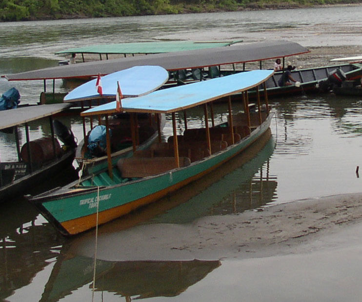 Cock-of-the-Rock Lodge to Manu River